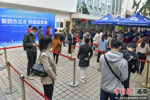 海南自由貿易港招才引智春節返鄉人才對接會在海口舉行 9