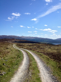 青海藏文報?？谡衅竼⑹? />
</span>
<span id=