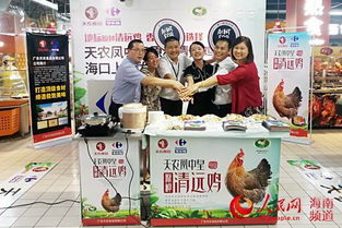?？诩覙犯Ｊ称忿D型新舉措 引進清遠麻雞供應海南市場，同步啟動海口招聘計劃